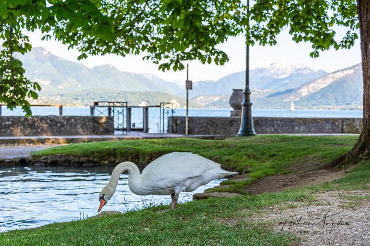 L'Amedee - Appt A 500M Du Lac Annecy Ngoại thất bức ảnh